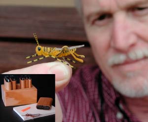 Identifying Insects - The Missoulian Angler Fly Shop