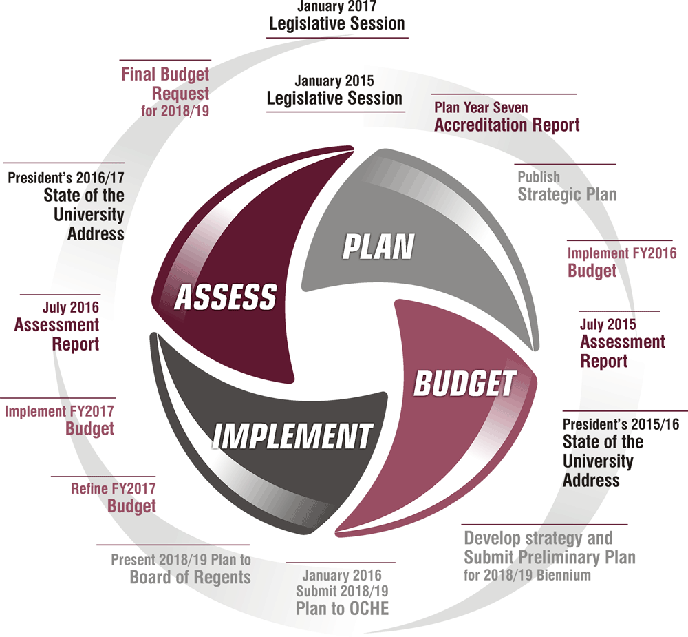 plan-budget-implement-assess with biennial timeline